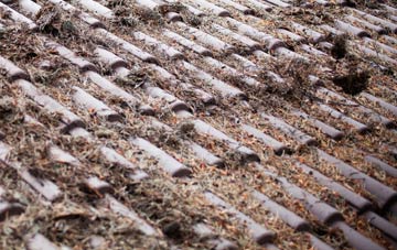 Livingston roof cleaning companies