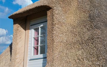 Livingston thatch roof disadvantages