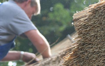 professional Livingston thatchers